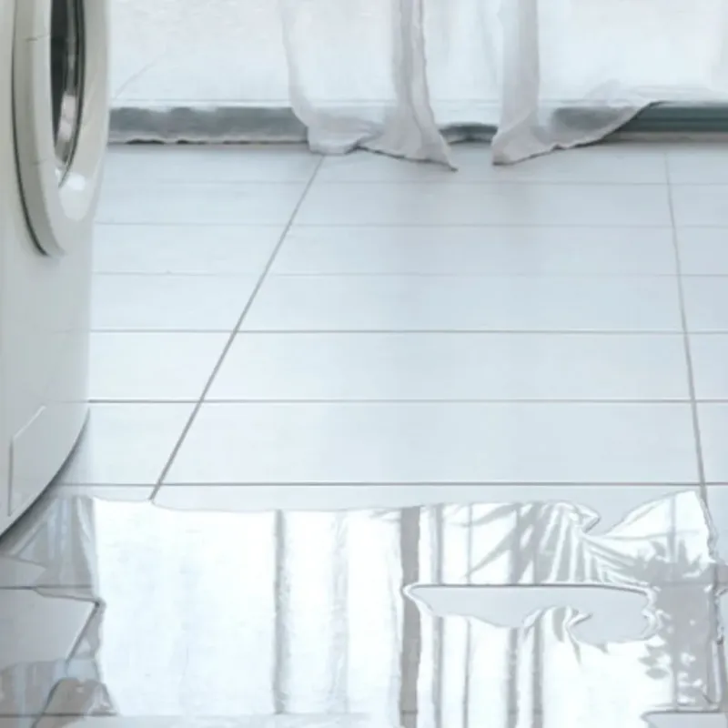 Appliance Leak Cleanup in Laurens County, SC