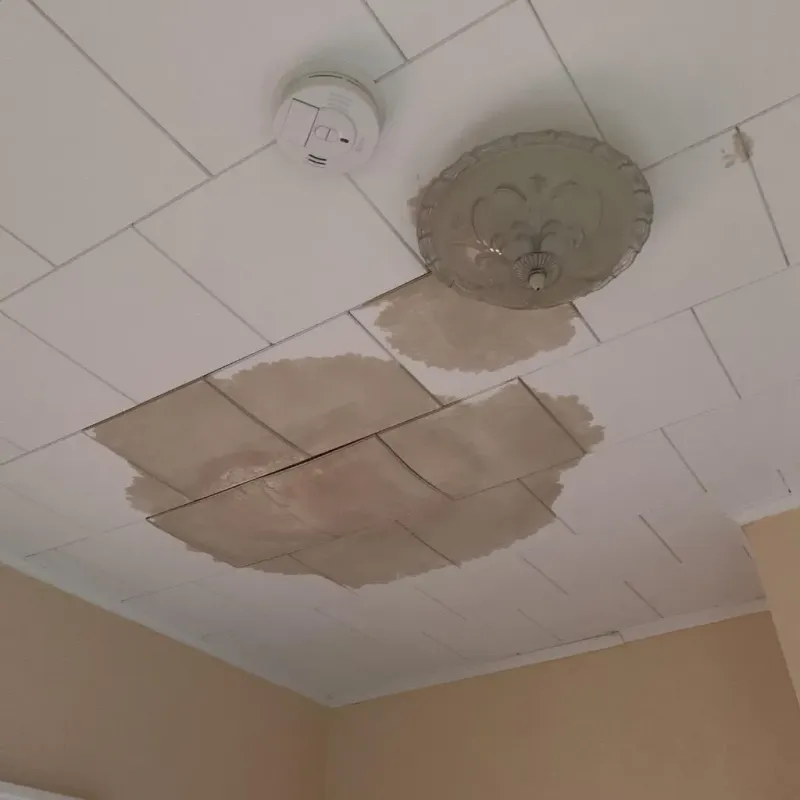Ceiling Water Damage Repair in Laurens County, SC