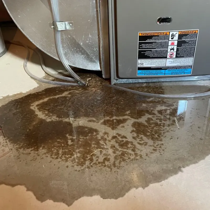 Pipe Burst and Leak Restoration in Laurens County, SC