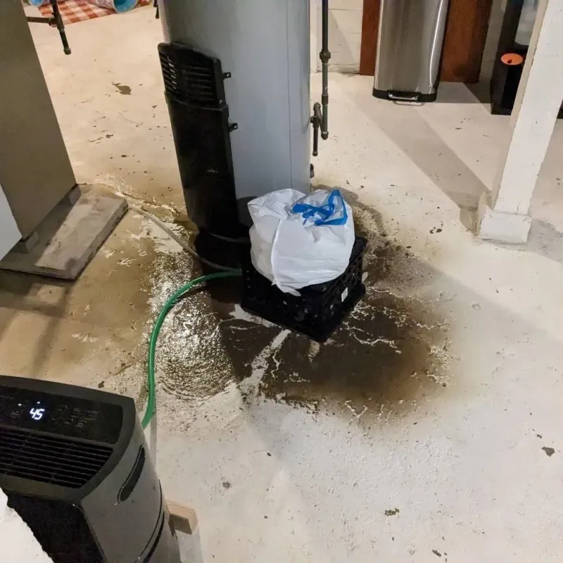 Sewage Backup Cleanup Service in Laurens County, SC